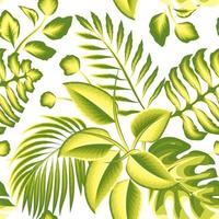 groen abstract realistisch oerwoud illustratie tropisch naadloos patroon met monstera varen bladeren en palm fabriek gebladerte Aan wit achtergrond. exotisch tropen. zomer ontwerp. natuur behang. interieur vector