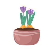 vector illustratie huis bloemen krokussen in een pot.