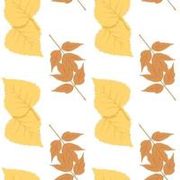 mooi herfst patroon berk bladeren esdoorn- bladeren kan worden gebruikt voor posters banners achtergronden vector