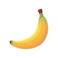 banaan vers fruit vector