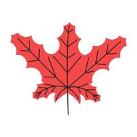 rood herfst blad met aderen. vallen esdoorn- gebladerte seizoen. Canadees nationaal land symbool. gemakkelijk single esdoorn- blad silhouet. hand- getrokken vlak vector illustratie geïsoleerd Aan wit achtergrond