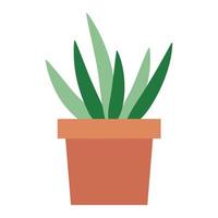 plant in een pot vector