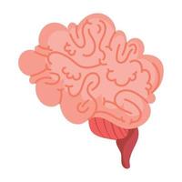 hersenen menselijk orgaan vector