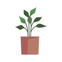 kamerplant in oranje pot vector