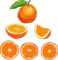 fruit illustratie voor decoratief poster, embleem natuurlijk Product, boeren markt. vector