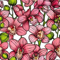 roze orchideeën Aan wit achtergrond, naadloos vector patroon. hand- getrokken illustratie. exotisch tropisch bloemen