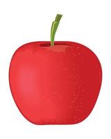 appel fruit realistisch vector