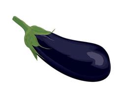 aubergine plantaardige pictogram vector