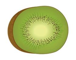 kiwi fruit realistisch vector