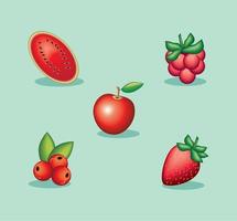 realistisch rood fruit, pictogrammen vector