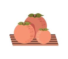 kaki fruit icoon vector