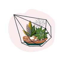 modern glas florarium, meetkundig terrarium met vetplanten en cactus. Japans decoratie, huis tuinieren. vector tekening illustratie.