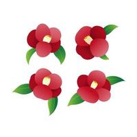 rood camelia bloem met wit achtergrond vector