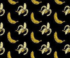 naadloos patroon van banaan fruit in tekening wijnoogst stijl. vector