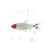 rummy neus- tetra vector ontwerp, tetra vis aquarium vis