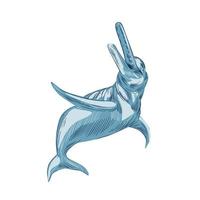 amazon rivier- dolfijn tekening vector