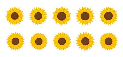 geel zonnebloemen bloeien in de lente. voor decoreren Welkom teken vector