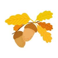 eikel, eik boom zaad en bladeren tak, gemakkelijk hand- getrokken vlak stijl vector illustratie, herfst vallen ontwerp element, dankzegging vakantie viering, oogst tijd concept, decor