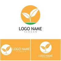 groen blad illustratie natuur logo ontwerp vector