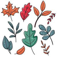 reeks helder herfst bladeren vector geïsoleerd illustratie