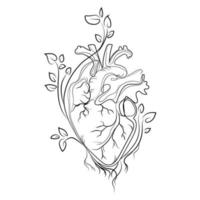 anatomisch menselijk hart van welke takken en bladeren van bomen toenemen lijn kunst tekening vector illustratie.menselijk hart zwart en wit schets, creatief idee voor tatoeage, logo, afdruk, pictogram en andere ontwerp.