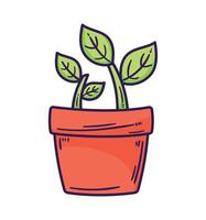 kamerplant in pot vector