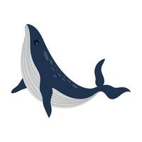 sei walvis dier vector