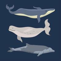 walvissen zeeleven drie dieren vector