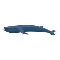 vin walvis dier vector