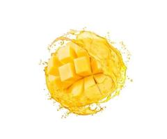 mango fruit plak met vers sap stromen plons vector