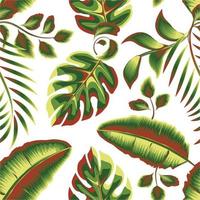 groen natuur banaan monstera bladeren naadloos patroon met mooi tropisch varen blad planten en gevleugeld Aan wit achtergrond. oerwoud afdrukken. zomer ontwerp. exotisch keerkring. modieus textuur. vector