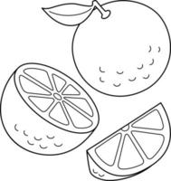 oranje fruit geïsoleerd kleur bladzijde voor kinderen vector
