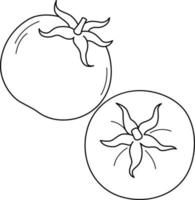 tomaat fruit geïsoleerd kleur bladzijde voor kinderen vector