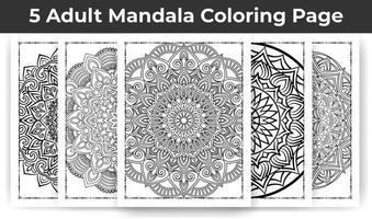 05 volwassen mandala kleur bladzijde bundel voor interieur, volwassen kleur bladzijde interieur. vector
