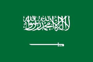 saudi Arabië hand- getrokken vlag, saoedi riyal hand- getrokken vector