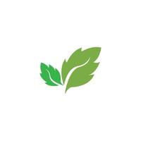 groen blad ecologie natuur element vector