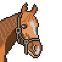 paard hoofd met pixel kunst Aan wit achtergrond. vector