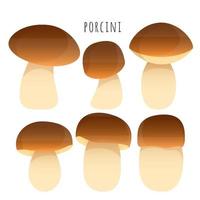 porcini paddestoel reeks vector