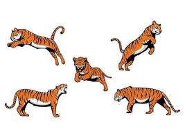reeks van tijgers vector tekenfilm illustratie mascotte logo geïsoleerd Aan een wit achtergrond