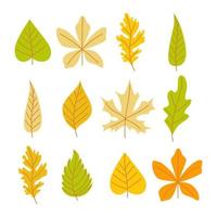 herfst bladeren reeks in groente, geel, oranje kleuren. gemakkelijk tekenfilm vlak stijl. vector kunst geïsoleerd Aan wit achtergrond.