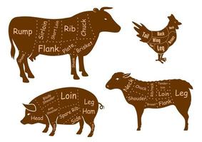 rundvlees, varkensvlees, kip en lam vlees bezuinigingen vector