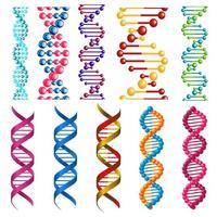 kleurrijk dna moleculen en cellen vector