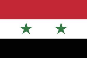 Syrië hand- getrokken vlag, syrisch pond hand- getrokken vector