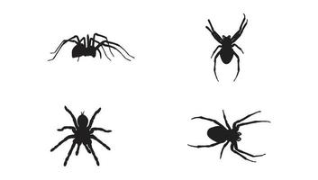 verzameling van dier spin silhouet in verschillend poses vrij vector