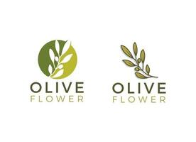 natuur kruiden olijf- olie plant, olijf- blad bloem logo ontwerp vector