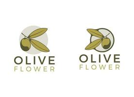 natuur kruiden olijf- olie plant, olijf- blad bloem logo ontwerp vector