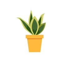 sansevieria in een pot. populair kamerplant. vector illustratie