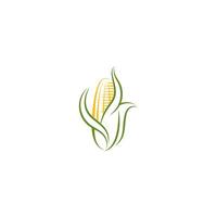zoet maïs icoon logo ontwerp vector
