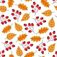 herfst patroon met vallend blad en bessen. roos heupen, bessen van lijsterbes. knus Woud schattig vallen illustratie. voor behang, geschenk papier, web, vallen groet kaarten, kleding stof, textiel, textuur. vector