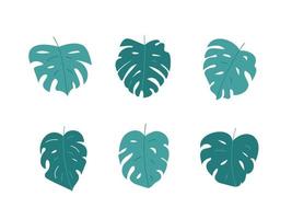 monstera bladeren illustratie Aan wit achtergrond vector